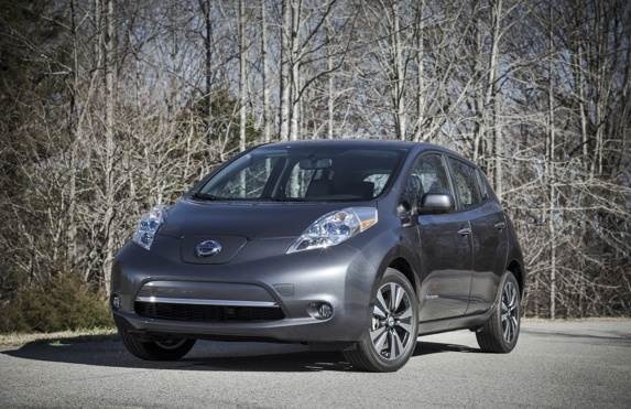 2013leaf_018-600-001-1