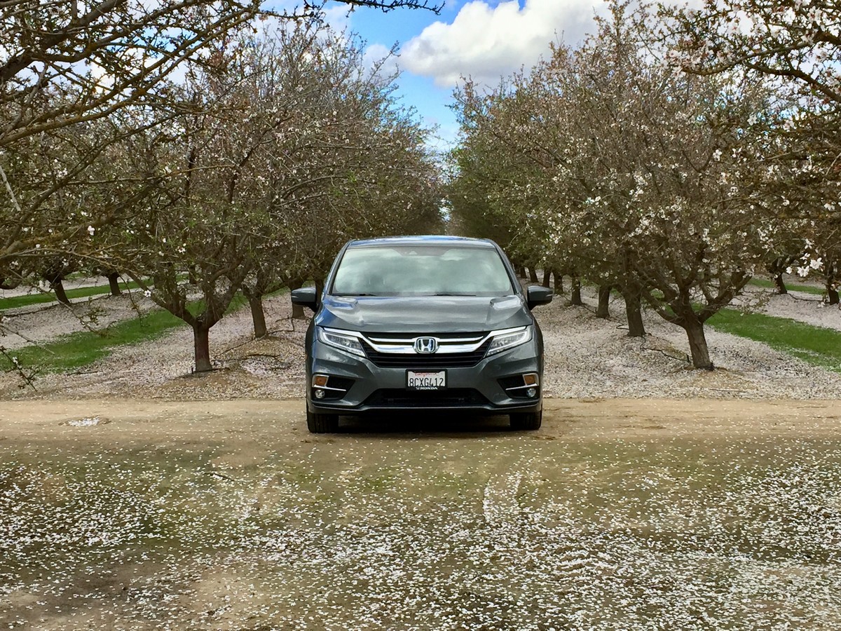 05 2018 Honda Odyssey Almonds