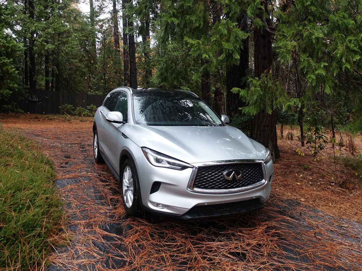 2019 Infiniti Qx50 Long Term Xmas 1