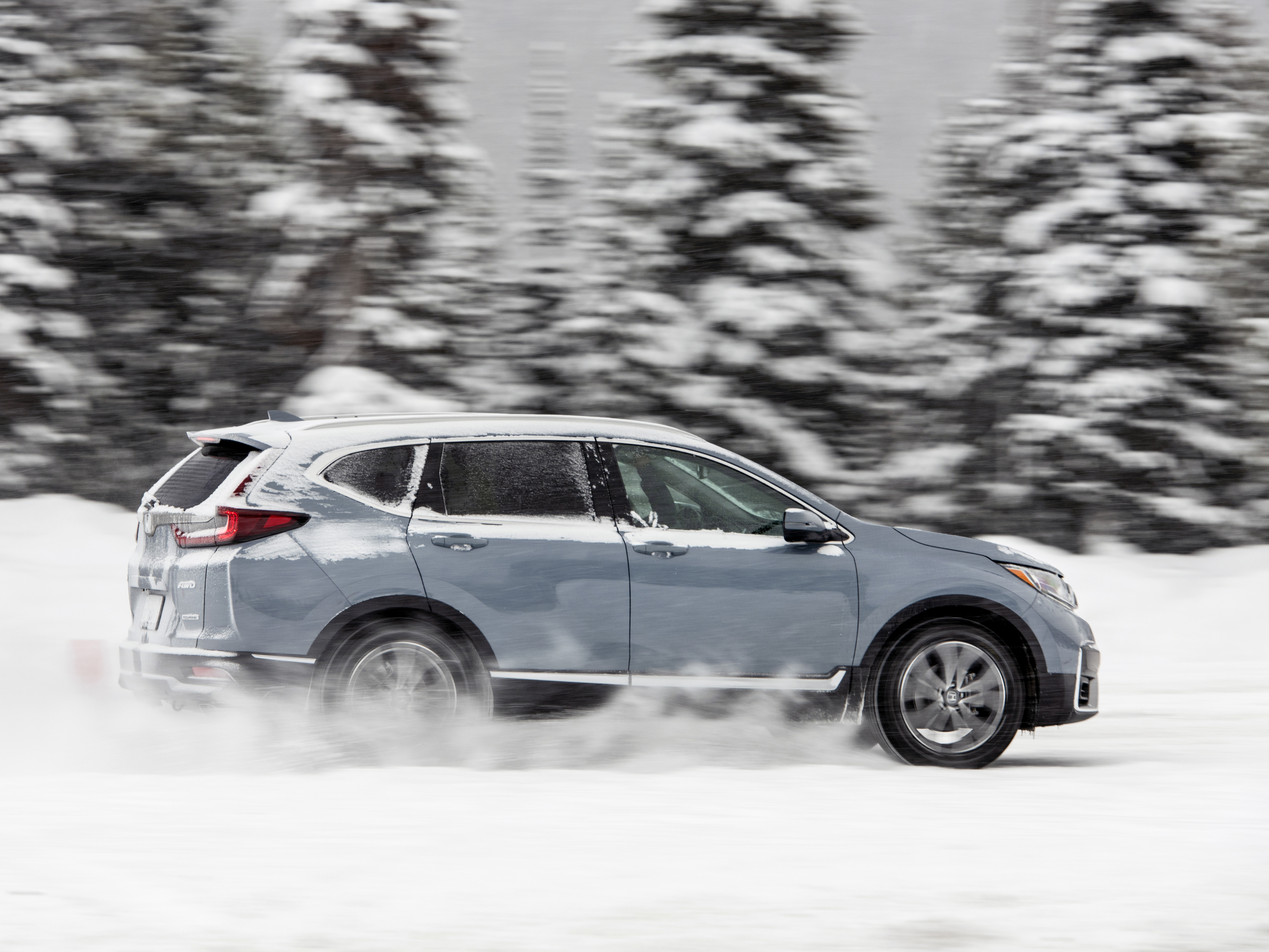 AWD vs. 4WD