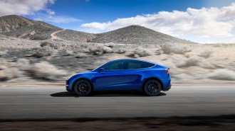 Model Y Blue Action