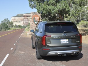 2020 Kia Telluride Zion Natl Park Sign