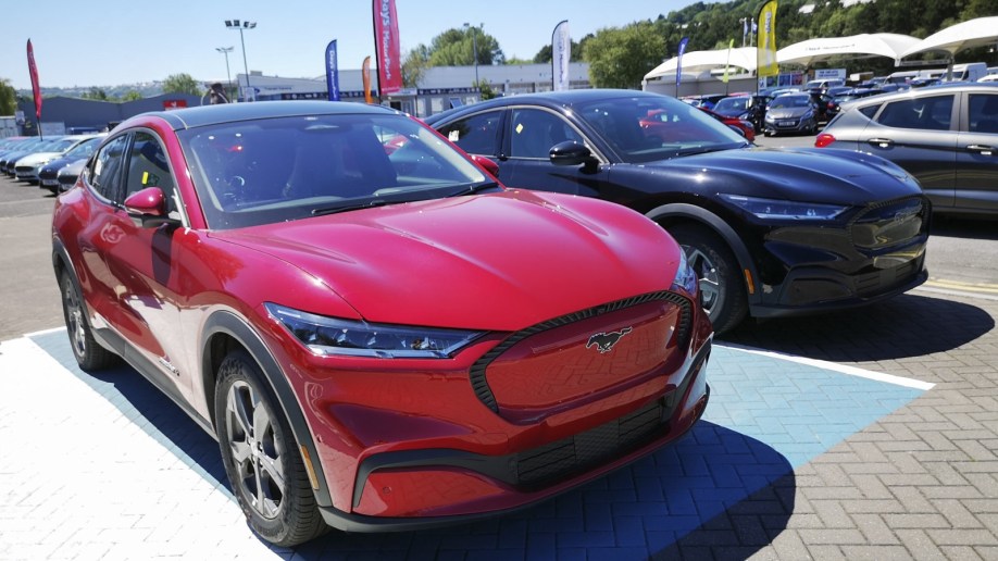 Ford Mustang Mach-E electric cars on a dealership lot