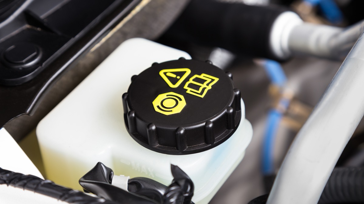 Brake fluid reservoir.