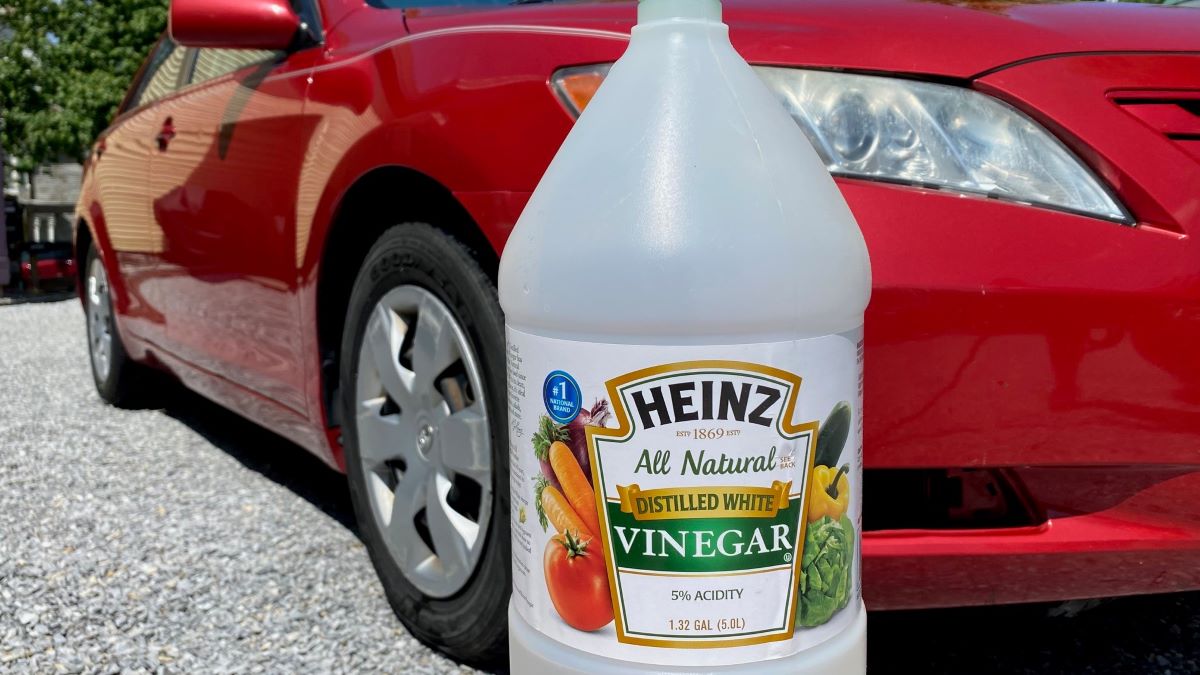 White Vinegar Cleaning Car Paint