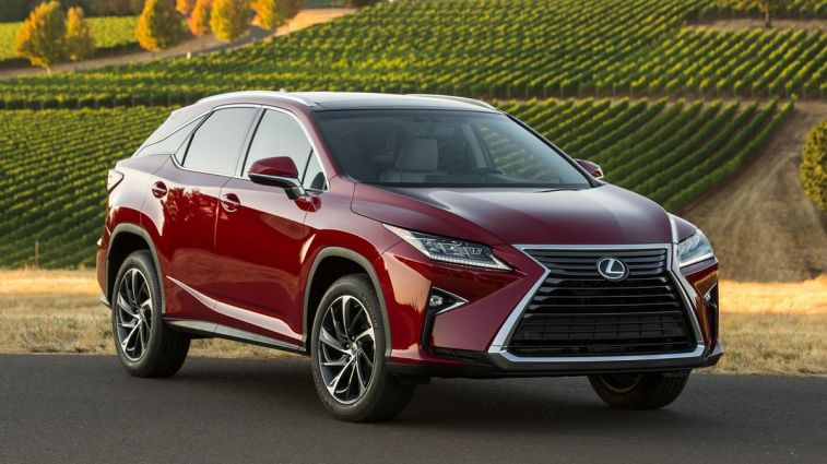 2018 Lexus RX 350 with a vineyard in the background.