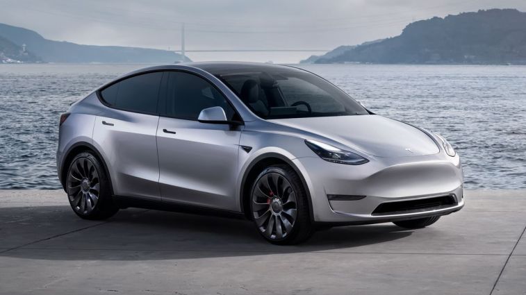2024 Tesla Model Y in silver with the ocean in the background.