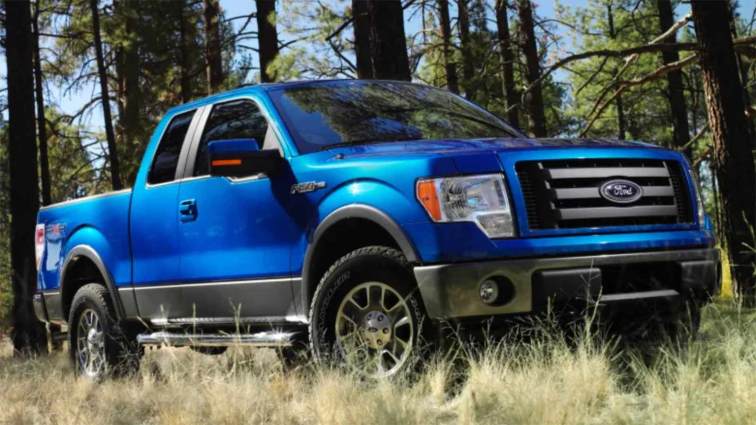 2010 Ford F-150 in blue with pine trees in the background.