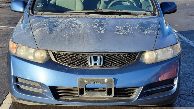 Car hood with faded blue flaking paint.