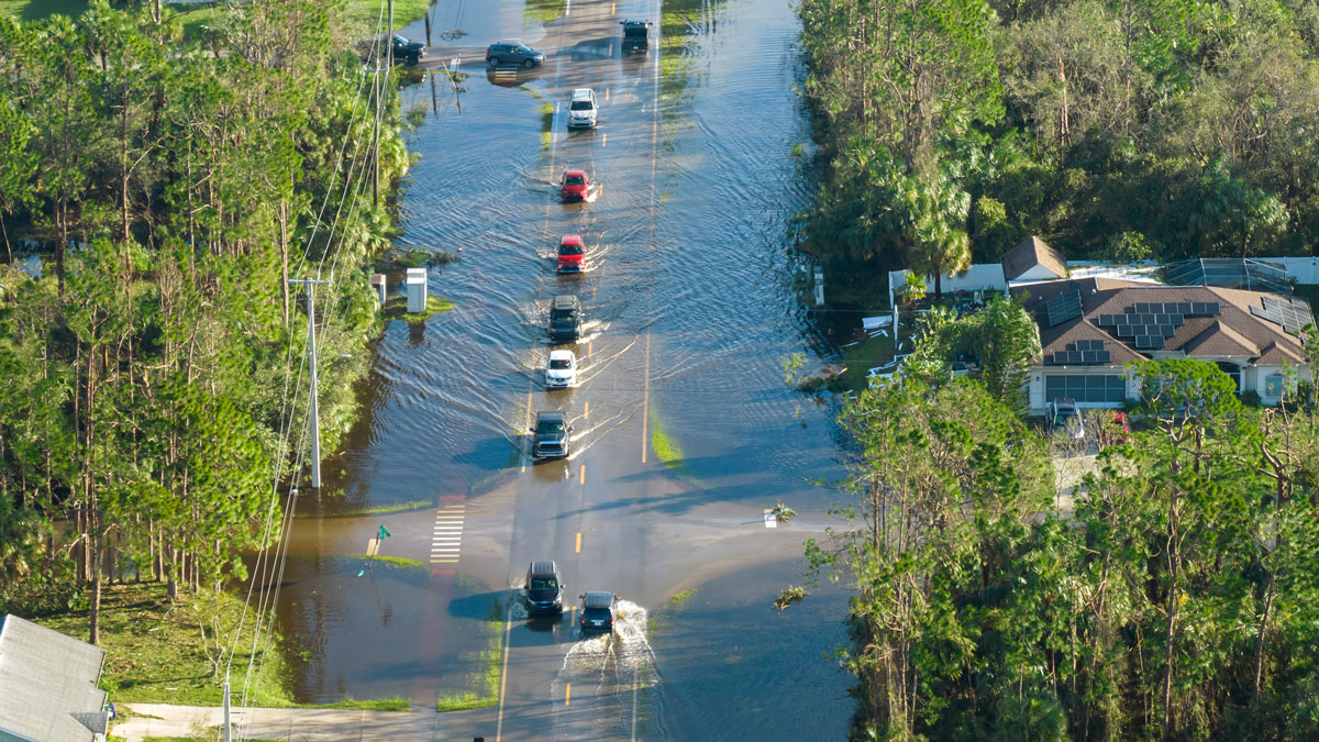 Typically, it's not safe to drive in flood waters.