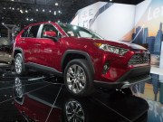 2019 Toyota RAV4 + Video