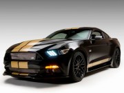 2016 Ford Shelby GT-H